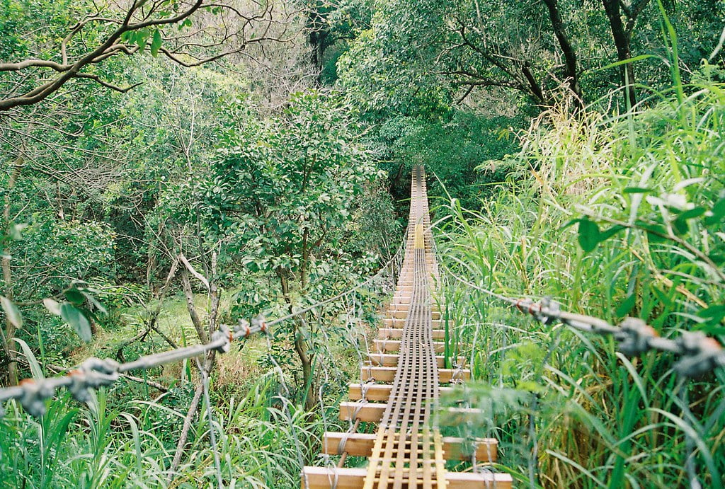 Hikes in Maui